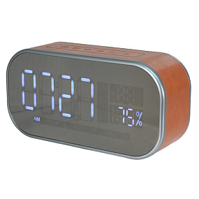 Колонка BY 6630 (Bluetooth/MicroSD/USB/FM/AUX/Microphone) коричневая